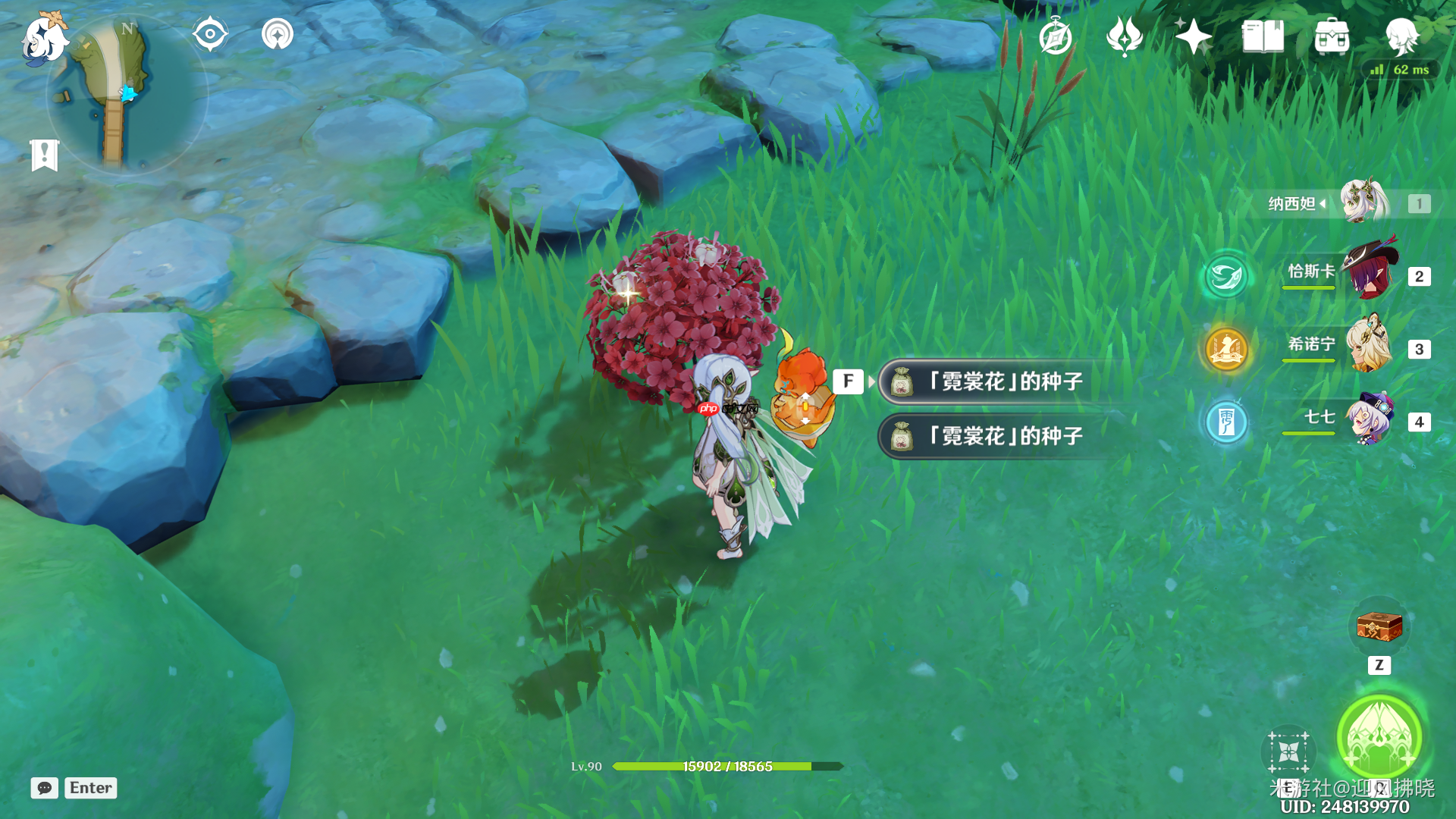 《原神》霓裳花全收集路线