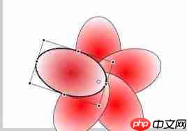 Macromedia Flash 8怎么画一朵花