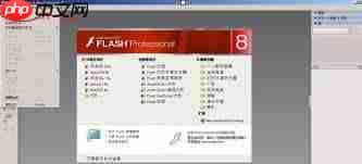 Macromedia Flash 8怎么画一朵花