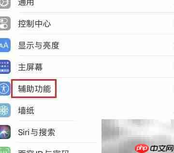 苹果13通话显示Voice