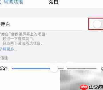 苹果13通话显示Voice