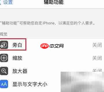 苹果13通话显示Voice
