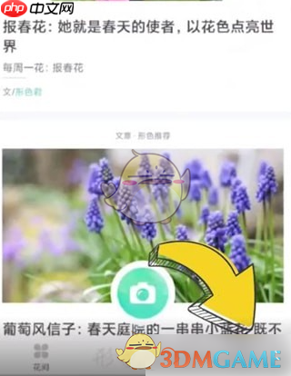 《形色》删除待鉴定照片方法