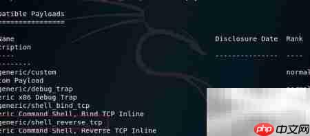 MS08-067漏洞攻击简析