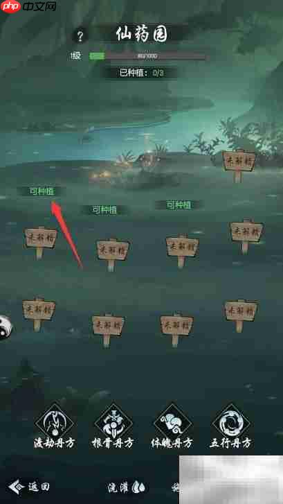 仙之名药材获取攻略