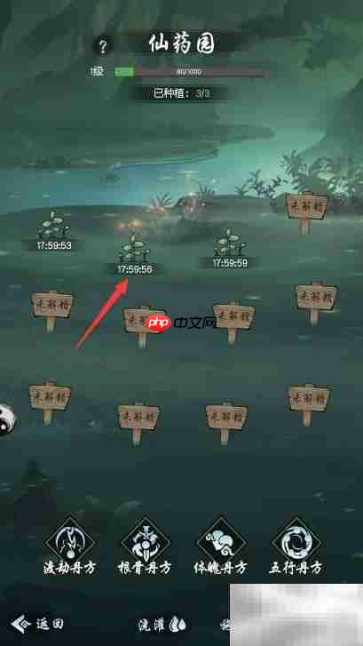 仙之名药材获取攻略