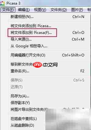 picasa图片加文字教程