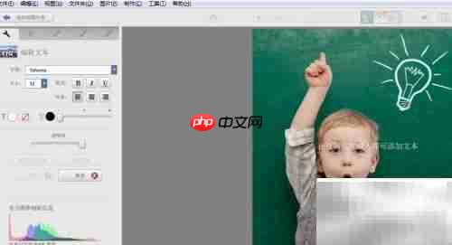 Picasa图片加文字教程
