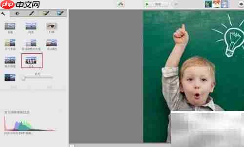 Picasa图片加文字教程