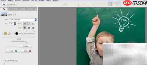 Picasa图片加文字教程