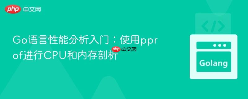 Go语言性能分析入门:使用pprof进行CPU和内存剖析
