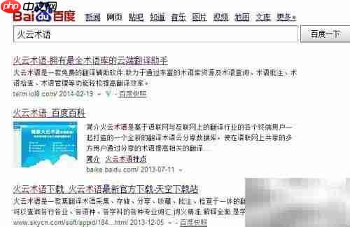 火云术语翻译安装指南