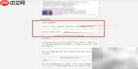 magi answer box 搜索增强