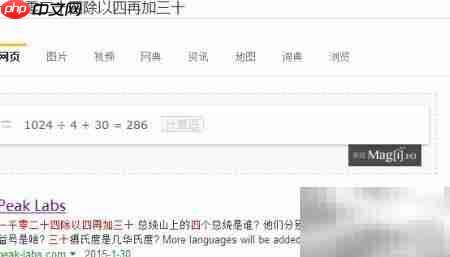 Magi Answer Box 搜索增强