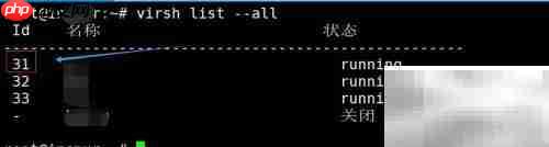 VNC Viewer连接虚拟机指南