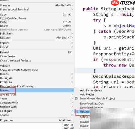 项目报错:无法更改Web模块版本