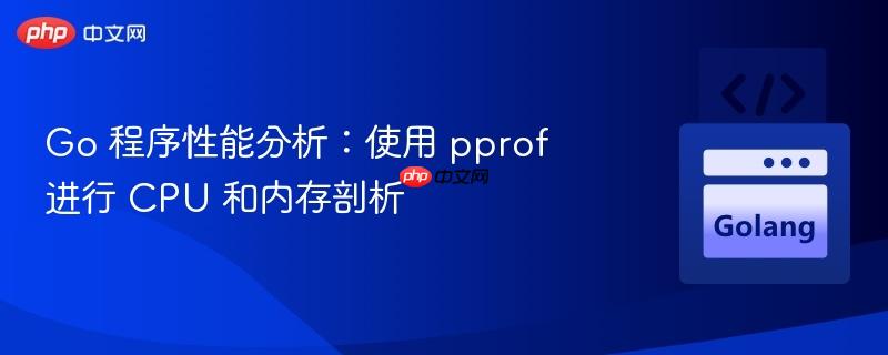 Go 程序性能分析:使用 pprof 进行 CPU 和内存剖析
