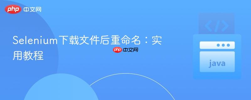 Selenium下载文件后重命名：实用教程