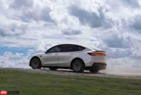 Stellantis 前 CEO:特斯拉将被中国车企击败 马斯克犯了错