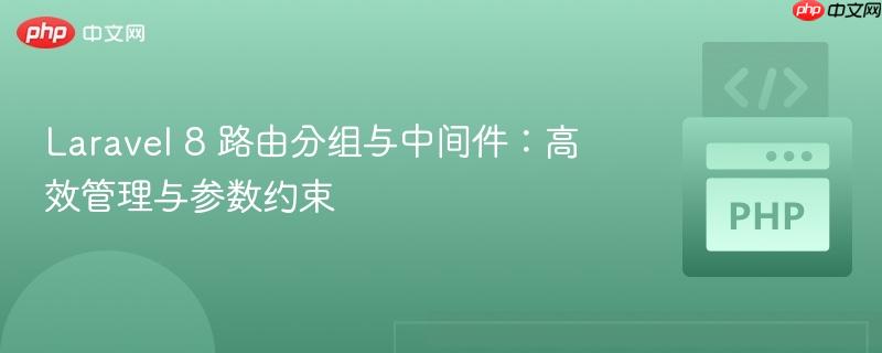 Laravel 8 路由分组与中间件:高效管理与参数约束