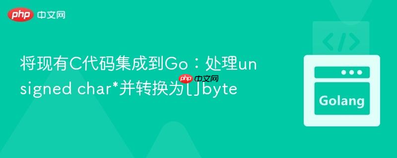 将现有C代码集成到Go：处理unsigned char*并转换为[]byte
