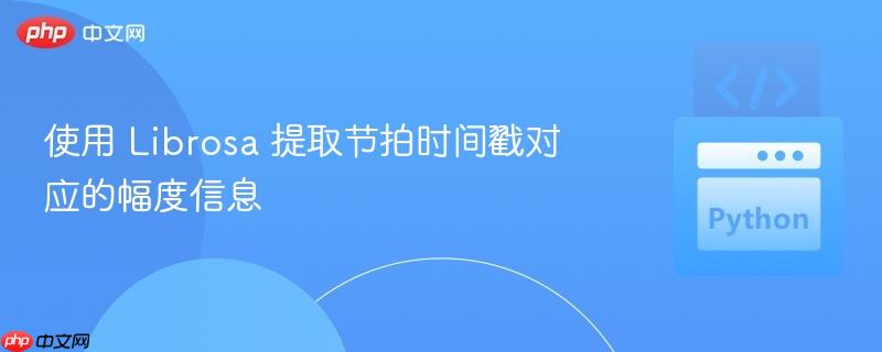 使用 librosa 提取节拍时间戳对应的幅度信息
