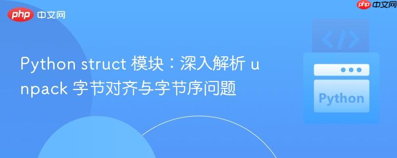 Python struct 模块:深入解析 unpack 字节对齐与字节序问题