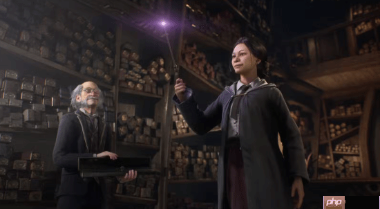 《霍格沃茨之遗》续作或为MMORPG!招聘信息暗示