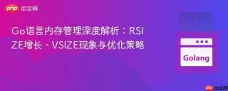 Go语言内存管理深度解析：RSIZE增长、VSIZE现象与优化策略