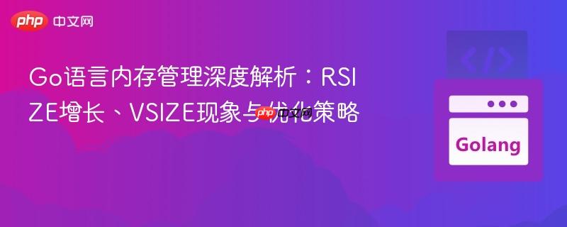 Go语言内存管理深度解析:RSIZE增长、VSIZE现象与优化策略