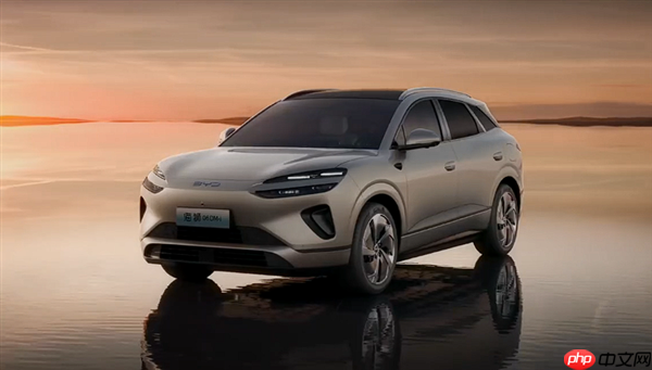 接棒宋PLUS DM-i 比亚迪海狮06上市百天下线10万辆!