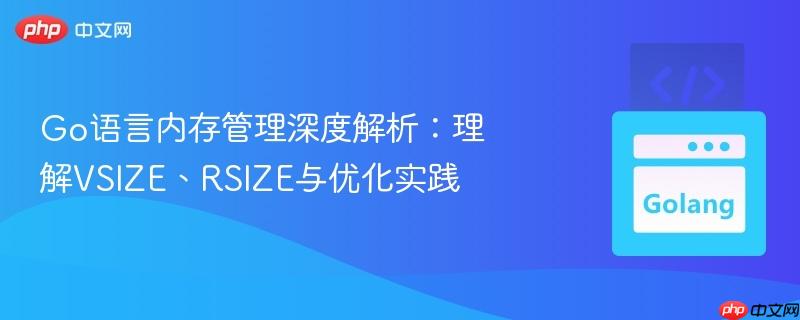 Go语言内存管理深度解析:理解VSIZE、RSIZE与优化实践