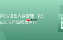 深入理解Go语言内存管理：RSIZE、VSIZE与垃圾回收优化