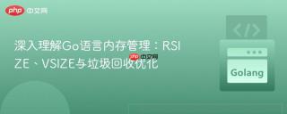 深入理解Go语言内存管理：RSIZE、VSIZE与垃圾回收优化