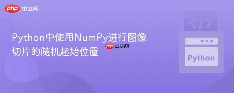 python中使用numpy进行图像切片的随机起始位置