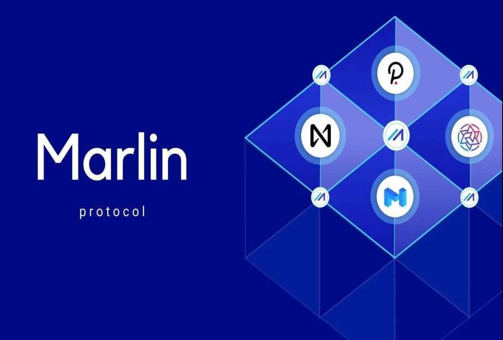 Marlin(POND)币是什么?怎么买?POND价格预测2025-2050