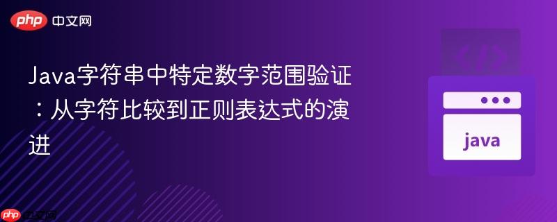 Java字符串中特定数字范围验证:从字符比较到正则表达式的演进
