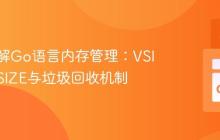 深入理解Go语言内存管理：VSIZE、RSIZE与垃圾回收机制