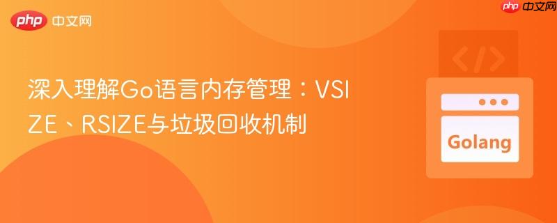 深入理解Go语言内存管理:VSIZE、RSIZE与垃圾回收机制