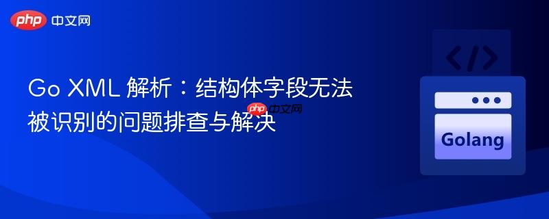 go xml 解析:结构体字段无法被识别的问题排查与解决