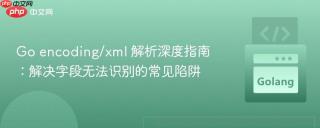 Go encoding/xml 解析深度指南：解决字段无法识别的常见陷阱