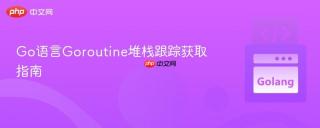 Go语言Goroutine堆栈跟踪获取指南