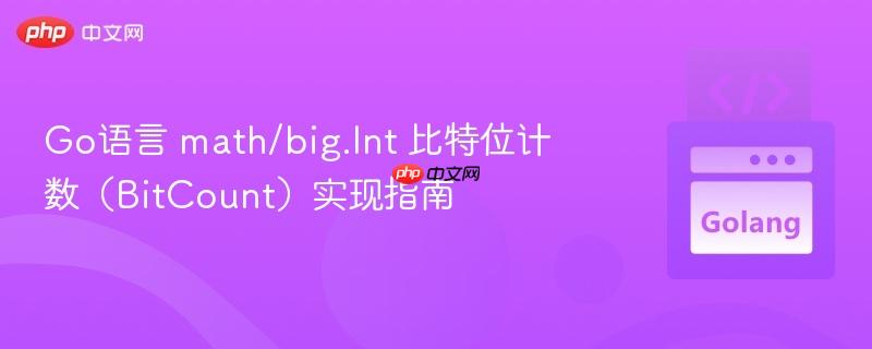 Go语言 math/big.Int 比特位计数(BitCount)实现指南