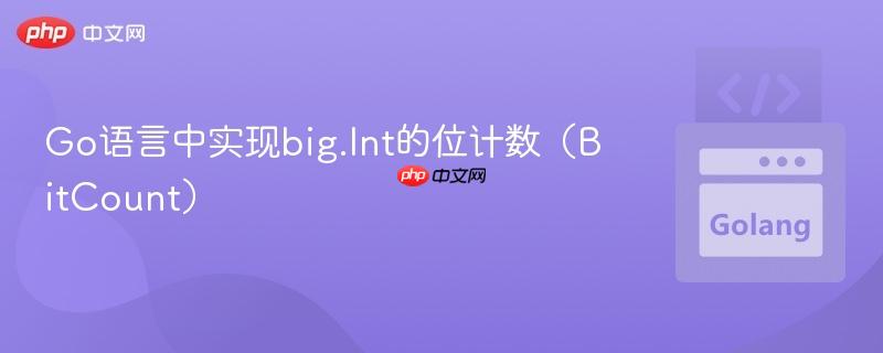 Go语言中实现big.Int的位计数(BitCount)