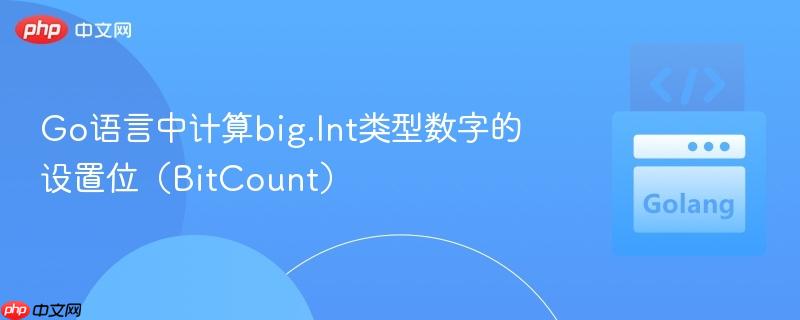 Go语言中计算big.Int类型数字的设置位(BitCount)