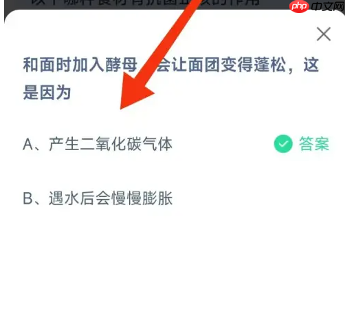 和面时加入酵母会让面团变得蓬松这是因为