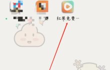 《红果免费短剧》开通会员方法