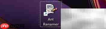 ant renamer重命名后清空列表方法