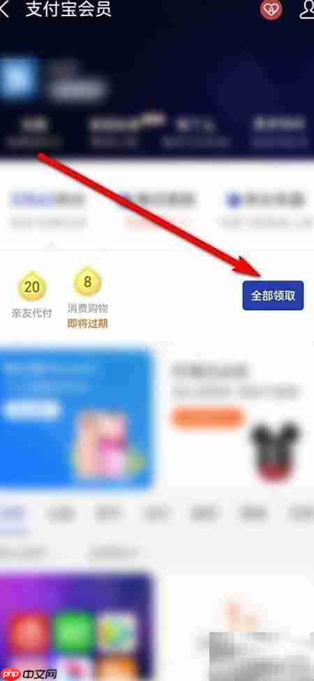 支付宝会员积分获取方法