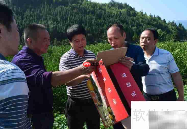 基层工作经验指什么